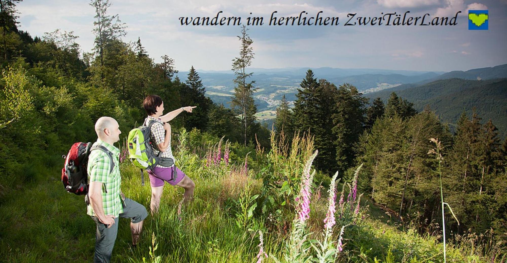 Hernis-Hoefle Elzach Eksteriør billede